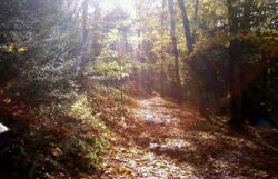 La saison prfre des coureurs