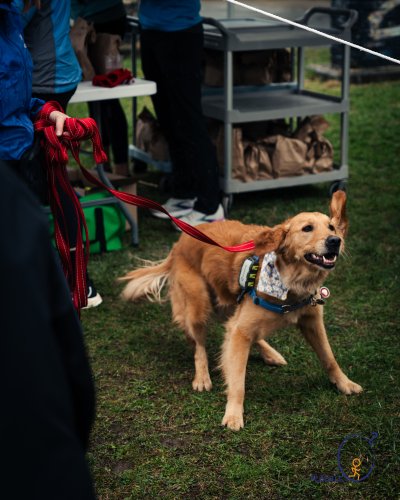 Courir pour se dcouvrir - Relais o2 2025
